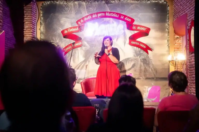Comedian in a red dress on stage at Picnic, seen from the back of the room